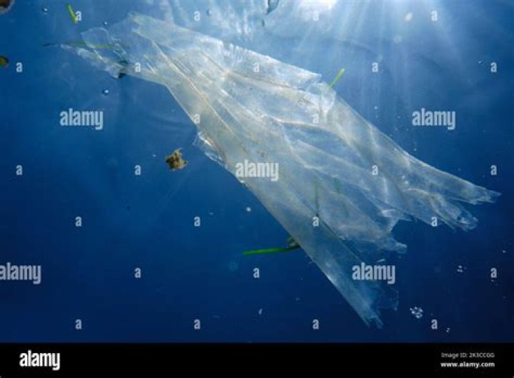 
Fishermen Discover Dead Body of Mom Wrapped in Plastic Bag, Floating off Fla. Coast: ‘No Person Deserves That’ 